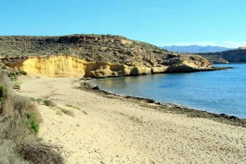 What’s on in Aguilas October 2023