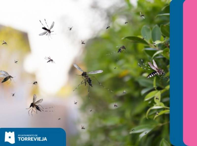 Torrevieja takes to the skies to tackle mosquito menace