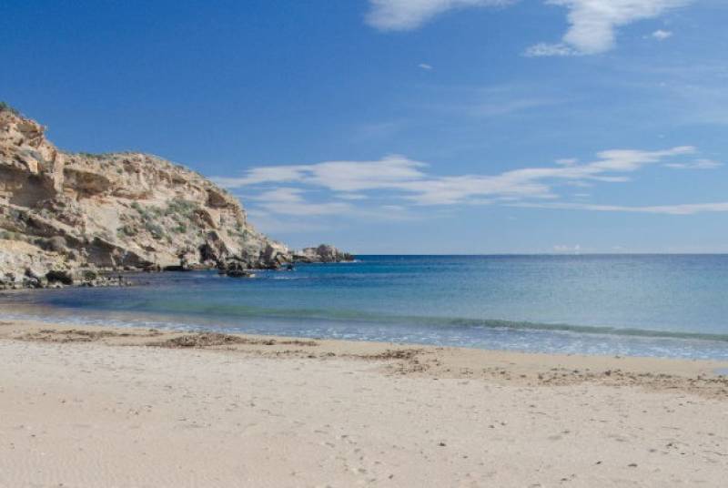 What's on in Águilas May 2025