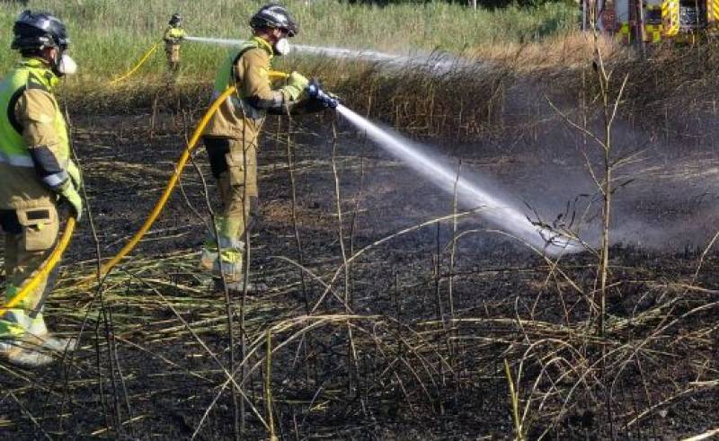 Camposol green waste area goes up in flames