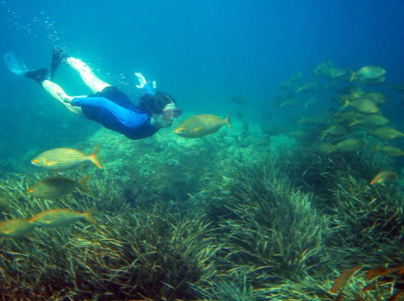 Águilas presents suggested snorkelling routes at 13 beach locations