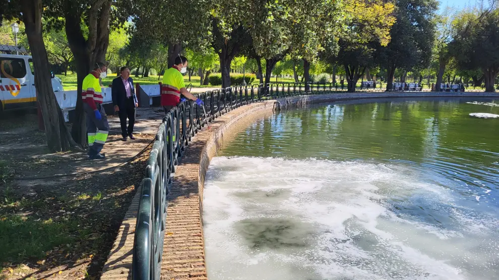 Andalucía's first West Nile virus case this season signals big improvement on last year's surge