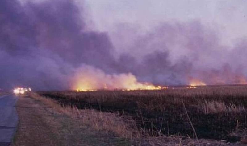 Spain faces record wildfire devastation with more than 340,000 hectares scorched