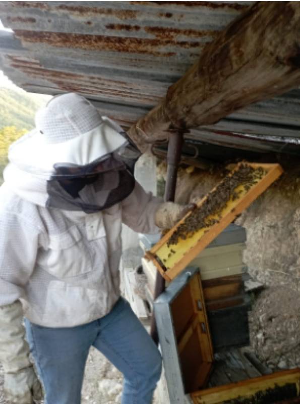 Guatazales in Bullas: Where regenerative farming brings the ancient River of Honey back to life