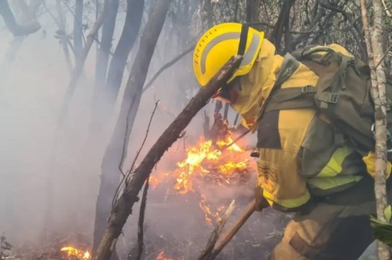 2025 Spain news: The year in review