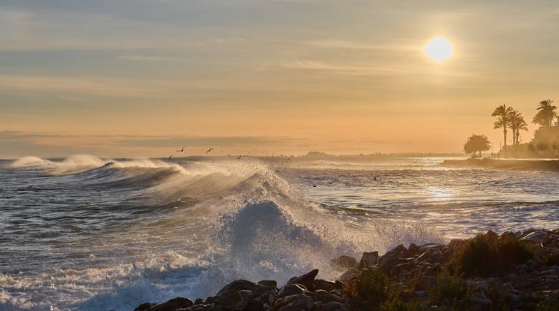 Murcia photo of the month January 2026