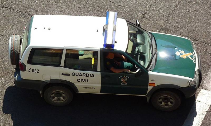 Dog found in bin after brutal beating in Torre Pacheco