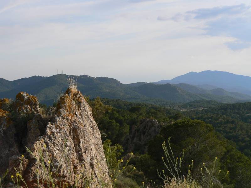 62 kilometres of new hiking and cycling trails coming to Murcia's forests