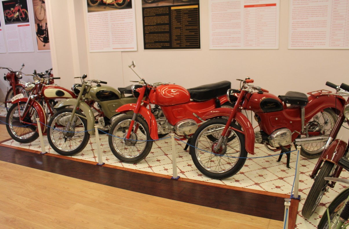 June 20 Free guided tour of the Antonio Paredes Museum in Mazarrón
