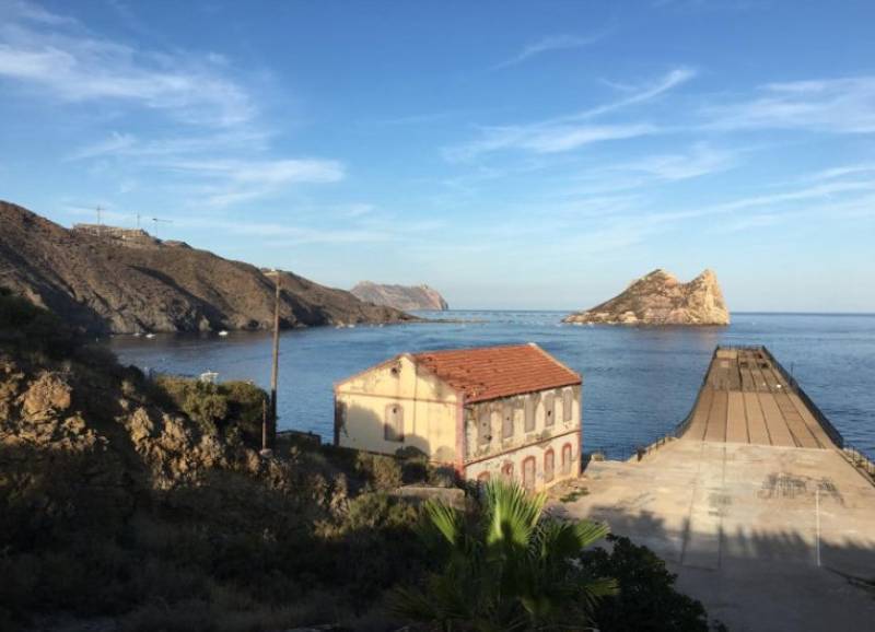 July 18 Free guided walk on the Tres Bahías Blue Trail in Aguilas