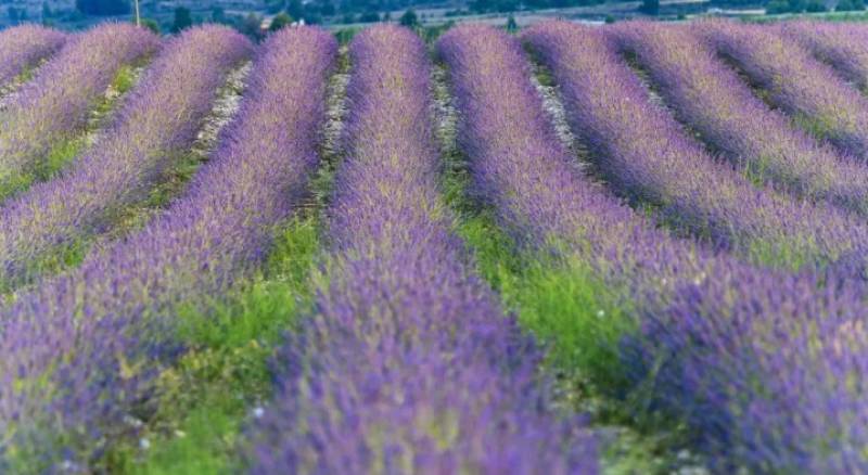 5 great summer plans in the north-west of Murcia!