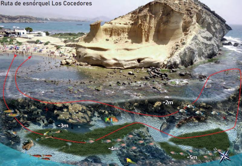 Snorkelling in Águilas: The Los Cocedores easy beach route for all ages