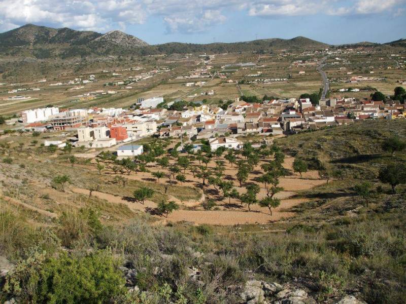 Hondón de los Frailes